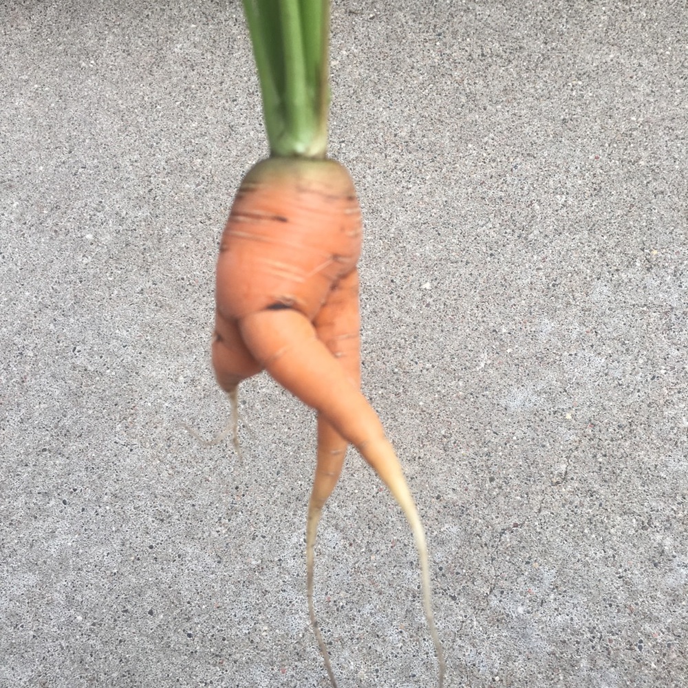 Meet your Posher, Bryn